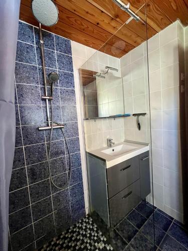 a bathroom with a shower and a sink at Gite de Mailhac in Loubières