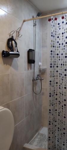 a bathroom with a shower with a sink and a toilet at Casa cronopio in Ushuaia