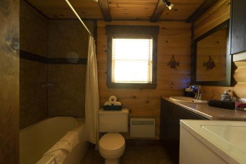 a bathroom with a toilet and a tub and a sink at Chalet Le RV 3 in Notre-Dame-Des-Bois
