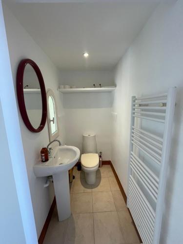 a bathroom with a sink and a toilet and a mirror at Château de la Sybille, vue imprenable sur le Canigou et les Orgues d'Ille sur Têt in Ille-sur-Têt