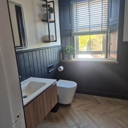 a bathroom with a toilet and a sink and a window at Lochmaben in Lochmaben