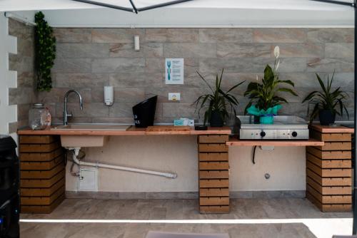 a kitchen with a counter with two potted plants at du Mio in Eforie Nord