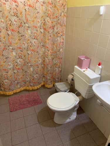a bathroom with a toilet and a sink at Dario Claussen house in Garupá