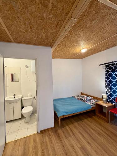 ein Badezimmer mit Bett, Toilette und Waschbecken in der Unterkunft Nova Mazury in Święta Lipka