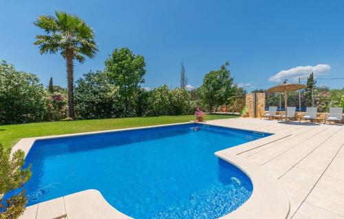 a swimming pool in a yard with a palm tree at Kiana in Santa Eugenia