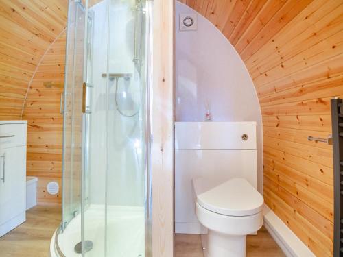 a bathroom with a toilet and a shower at 1 Bed in Conwy oc-95221 in Conwy
