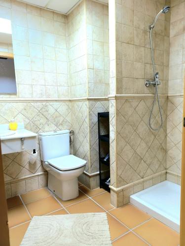 a bathroom with a toilet and a shower at Jazmin ID300 in Villanueva de Río Segura