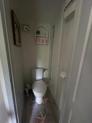 a bathroom with a toilet in a small room at Chalet cosy in Lissac-sur-Couze