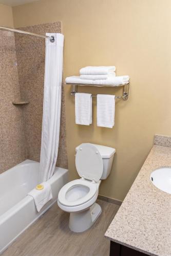 a bathroom with a toilet and a shower and a sink at Cotulla Express Inn in Cotulla