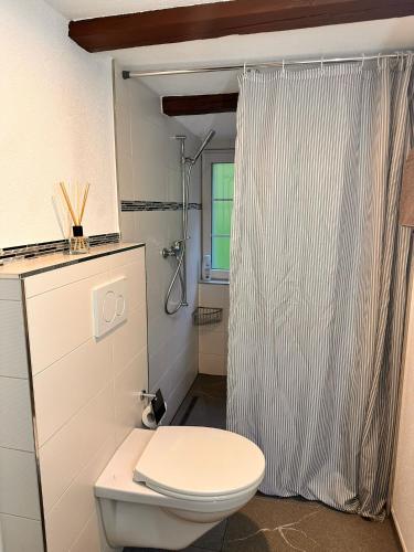 a bathroom with a toilet and a shower curtain at Haus Alpenhof in Wassen