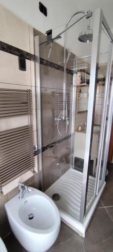 a bathroom with a shower and a white sink at La Casetta di Mari in Legnano