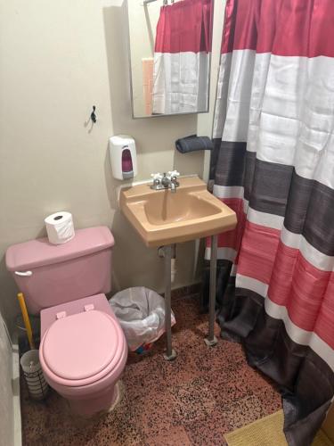 a bathroom with a pink toilet and a sink at Joe's Studio in San Juan