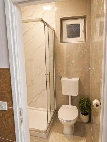 a bathroom with a toilet and a shower at Apartmani Kasteljan 7, Stara novalja in Stara Novalja