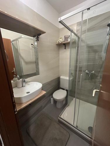 a bathroom with a toilet and a sink and a shower at Apartmani Kasteljan 2, Stara Novalja in Stara Novalja