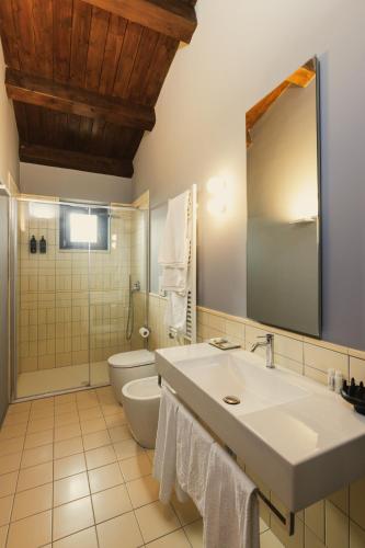 a bathroom with a sink and a toilet and a mirror at Masseria Pietrafitta in Foggia