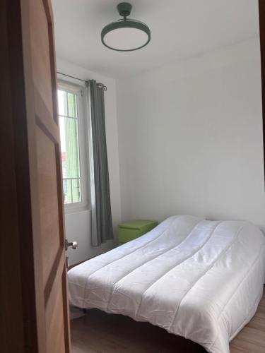 Bel appartement duplex lumineux