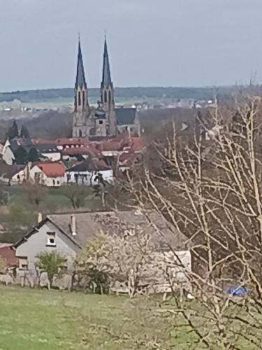 a view of a town with a church in the background at Entre sarre et albe in Sarralbe
