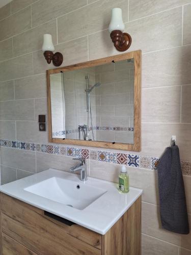 a bathroom with a sink and a mirror at Au gîte de Marcelle in Labergement-lès-Seurre