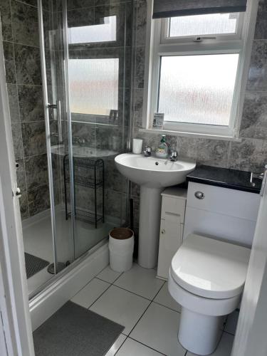 a bathroom with a toilet and a sink and a shower at JJ chalet in Scratby