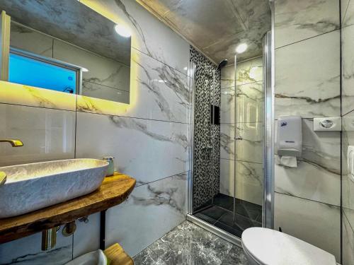 a bathroom with a sink and a shower at Apartment Gacka in Otočac