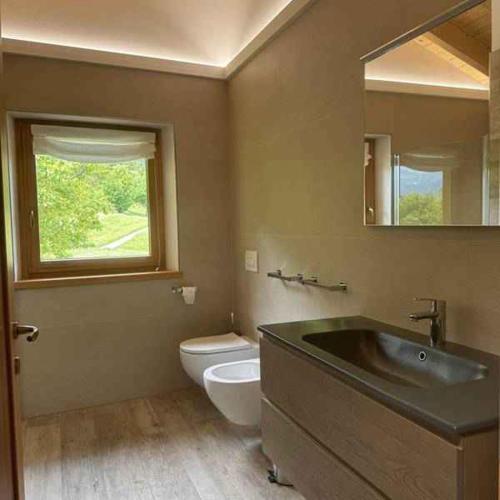 a bathroom with a sink and a toilet and a mirror at Chalet in Pieve di Ledro-Ledrosee 57751 in Pieve Di Ledro