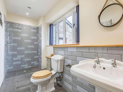 a bathroom with a toilet and a sink and a mirror at 2 Bed in Bideford oc-60765 in Buckland Brewer