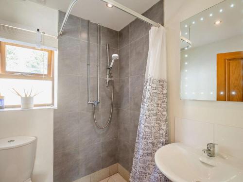 a bathroom with a shower and a toilet and a sink at 3 Bed in Conwy oc-95906 in Conwy