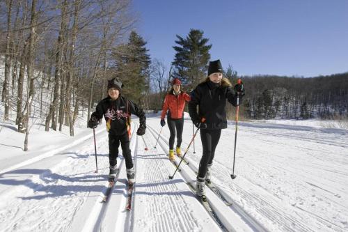 
two cross country skiers on a trail in the snow at Algonquin Motel in South River
