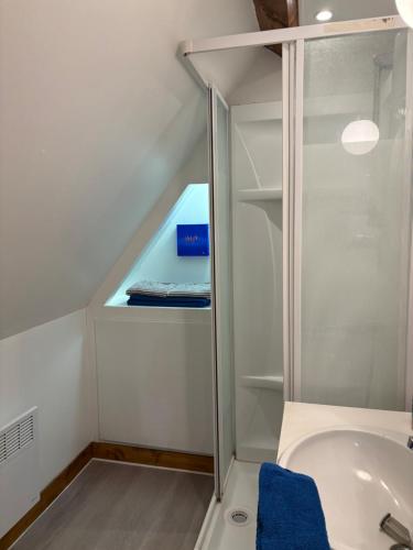 a bathroom with a shower and a bath tub at Le Cottage in Cambremer