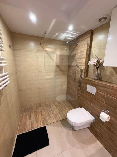 a bathroom with a toilet and a shower at White house in Malbork