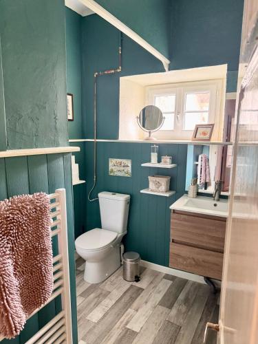 a bathroom with blue walls and a toilet and a sink at Maison Luard in Bedous