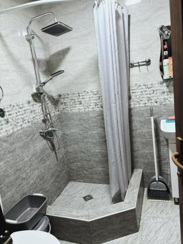 a bathroom with a shower with a toilet and a sink at Dachi Apartment in Sighnaghi