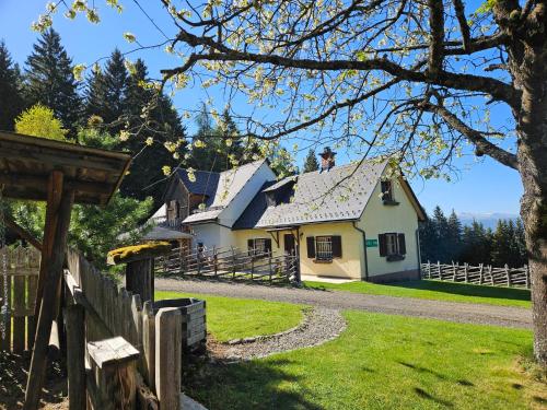 Almhütte, Ferienhaus Hadn Hube