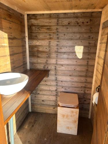 ein Badezimmer mit einem Waschbecken in einer Holzwand in der Unterkunft Solvognen in Pejrup