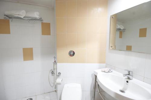 ein Badezimmer mit einem WC, einem Waschbecken und einem Spiegel in der Unterkunft Vardaan Hotels - PatniTop in Patnitop