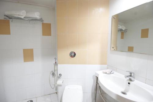 a bathroom with a toilet and a sink and a mirror at Vardaan Hotels - PatniTop in Patnitop