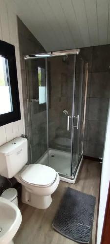 a bathroom with a shower and a toilet and a sink at Tinys Abedul in Lago Meliquina