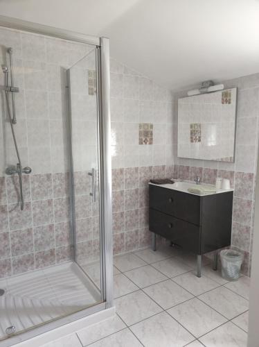 a bathroom with a shower and a sink at Les Chenets in Chenay