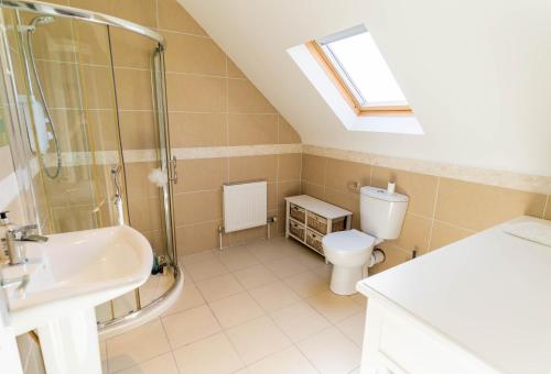 a bathroom with a shower and a toilet and a sink at 5 The Cloisters - Waterville in Waterville