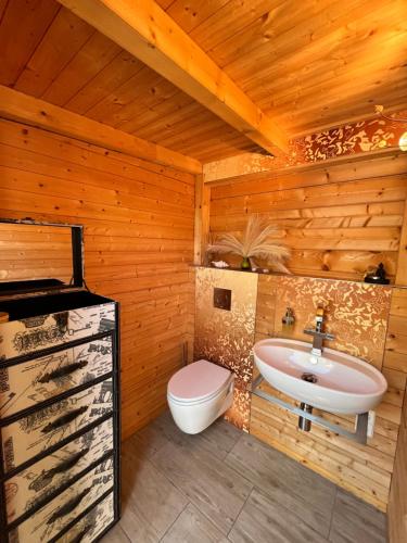 a bathroom with a toilet and a sink at Ferienhäuser Radebeul "Sommerresidenz" in Radebeul