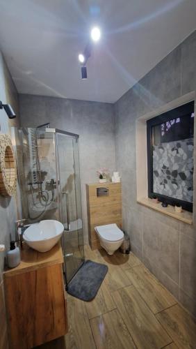 a bathroom with a sink and a shower and a toilet at Lobeliowe Zacisze Sominy in Sominy