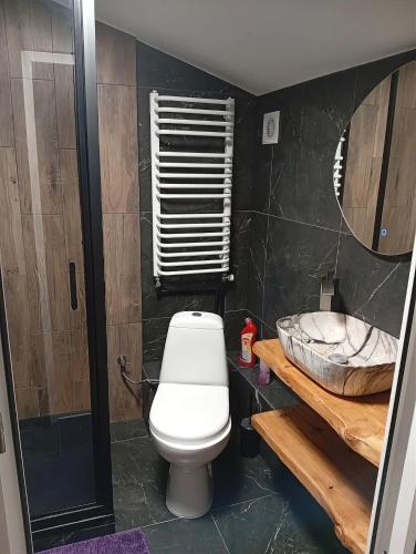 a bathroom with a toilet and a sink at Motel KOKOS in Kosiv