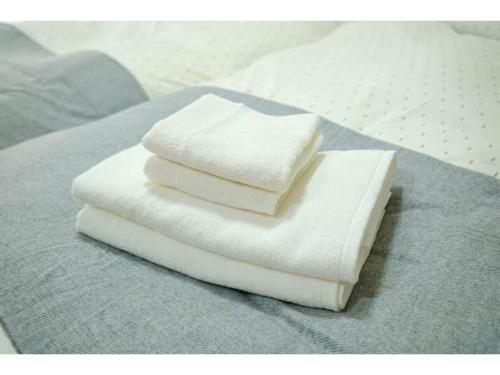 Sakura House - Vacation STAY 22115