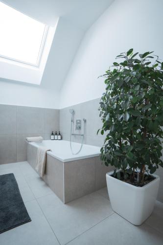a bathroom with a bath tub and a large plant at Fernruh Eifel in Dahlem