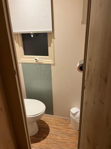 a small bathroom with a toilet and a window at La roulotte des écuries in Saint-Pierre-de-Chemillé