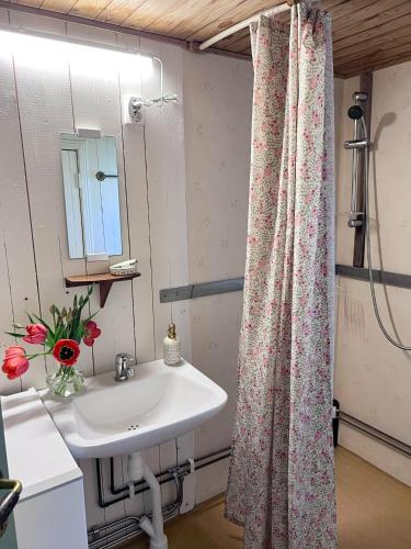 a bathroom with a sink and a mirror at Isans stuga in Broby