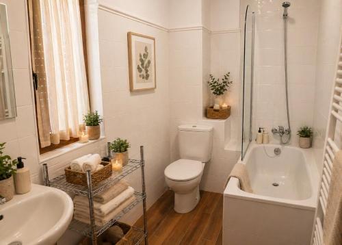 a bathroom with a toilet and a tub and a sink at Posada El Hoyal in Pesaguero-La Parte