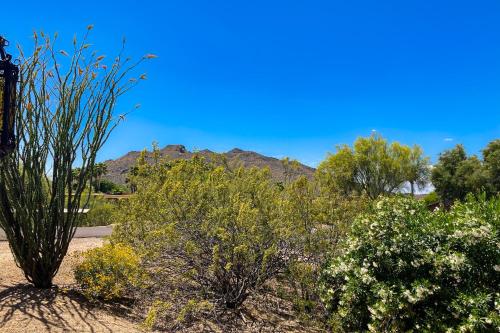 a field of bushes and trees with a mountain in the background at Tranquil Trail #6 in Carefree