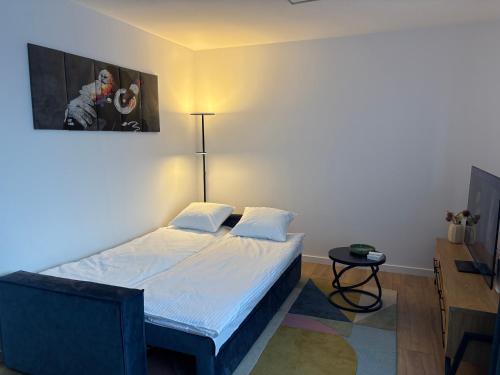 ein Schlafzimmer mit einem Bett und einem Bild an der Wand in der Unterkunft Cool Monkey Studio in Starogard Gdański