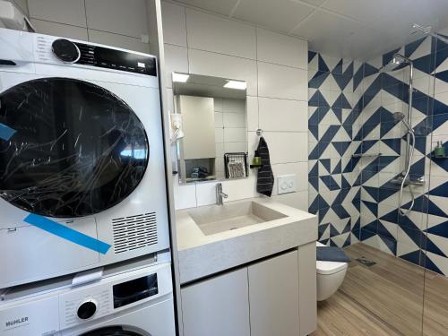 a bathroom with a sink and a washing machine at SANI Apartments by Kanevce in Ohrid